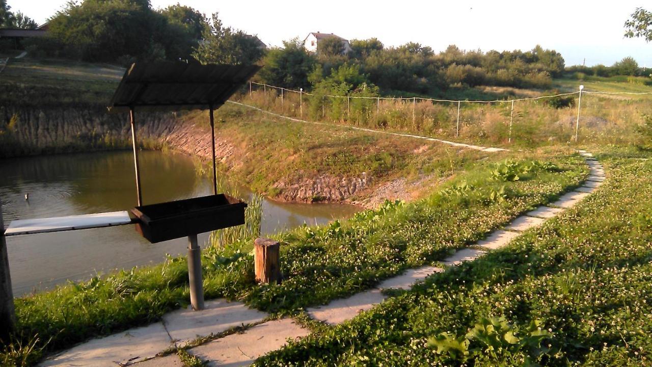 Villa Barbecue House Vinnycja Esterno foto